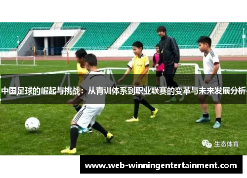 中国足球的崛起与挑战：从青训体系到职业联赛的变革与未来发展分析
