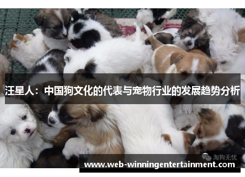 汪星人：中国狗文化的代表与宠物行业的发展趋势分析